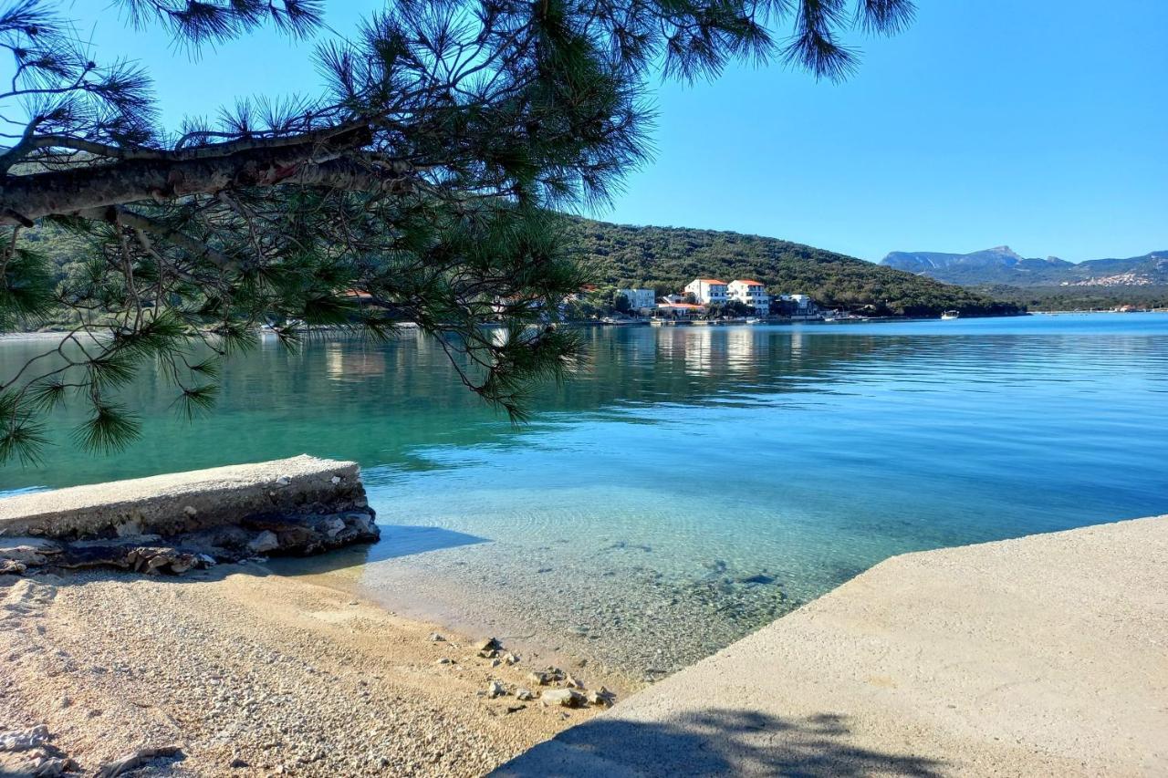 Apartments By The Sea Luka Dubrava, Peljesac - 284 Janjina المظهر الخارجي الصورة